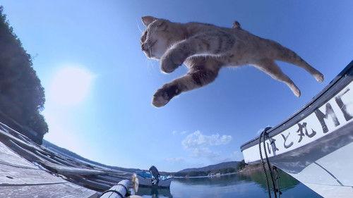 A Cat's-Eye View of Japan Season 2 Episode 16 - Ise-Shima: Cats and Pearls