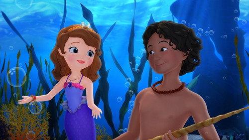 Sofia the First Season 3 Episode 1 - Cool Hand Fluke