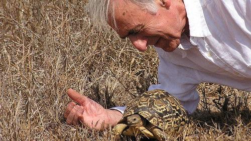 The Life of Mammals Season 1 Episode 4 - Chisellers