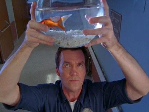 Scrubs Season 6 Episode 11 - My Night to Remember