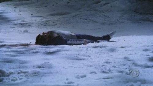 CSI: NY Season 1 Episode 13 - Tanglewood