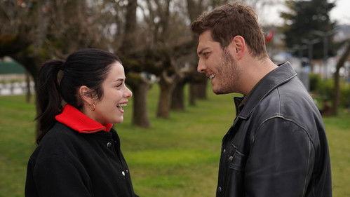 Street Birds Season 2 Episode 26 - Episode 47