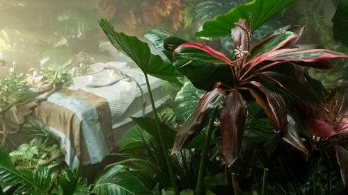 undefined Season 3 Episode 12 - The Specimen Collector