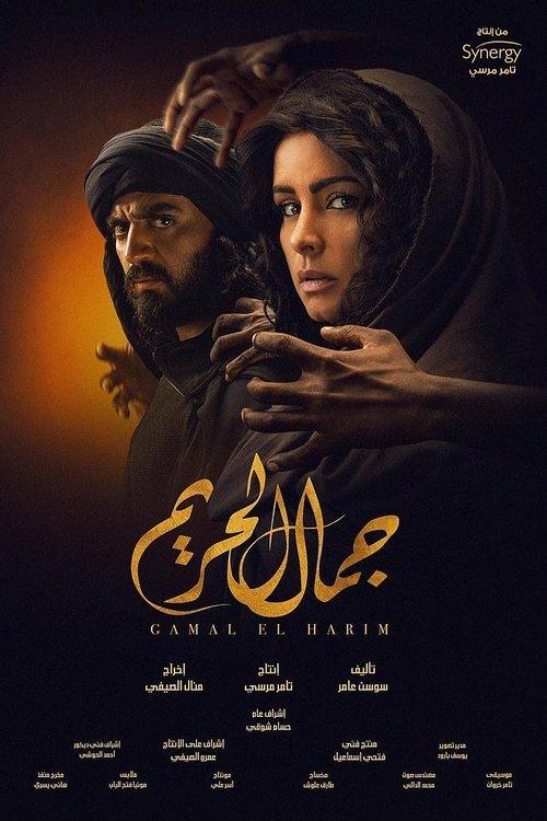 Gamal El Hareem poster