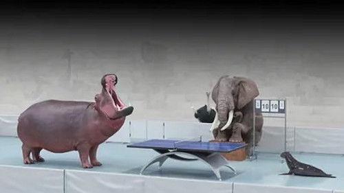 Athleticus Season 1 Episode 1 - Episode 1