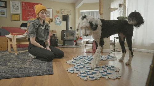 The Secret Life of Our Pets Season 1 Episode 1 - Communication