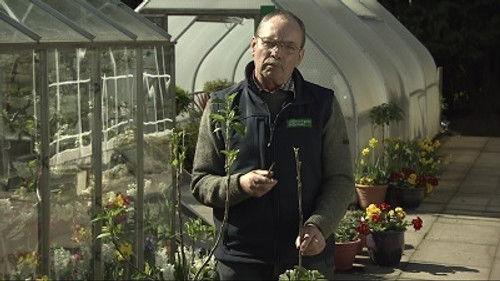 The Beechgrove Garden Season 36 Episode 3 - Episode 3