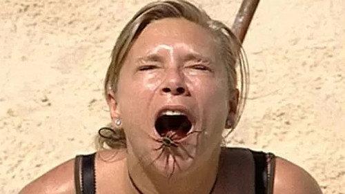 I'm a Celebrity...Get Me Out of Here! Season 9 Episode 1 - Stranded / All Washed Up