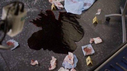 undefined Season 8 Episode 15 - The Shot in the Dark