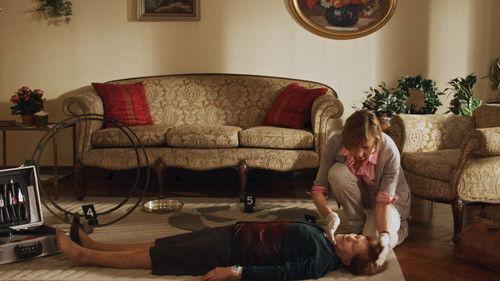 SOKO Wismar Season 8 Episode 19 - Episode 19