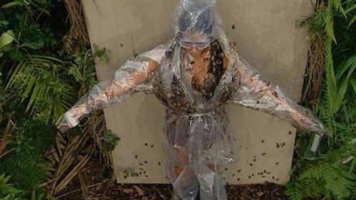 I'm a Celebrity...Get Me Out of Here! Season 9 Episode 5 - Jungle School