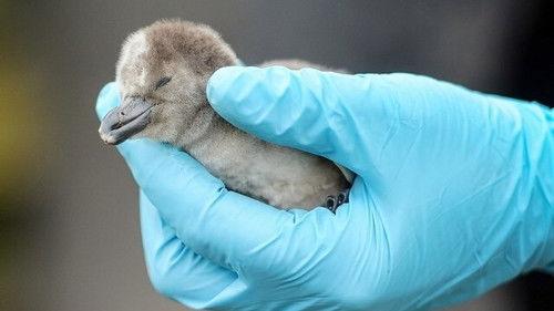 Background image for Episode 3