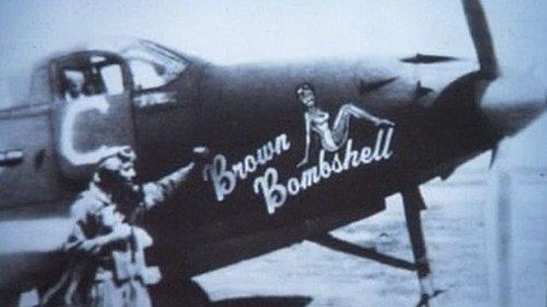 Family Matters Season 3 Episode 16 - Brown Bombshell