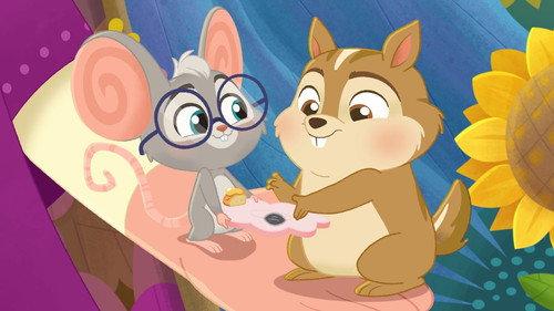 Vida the Vet Season 2 Episode 20 - Sunny’s Picky Eating