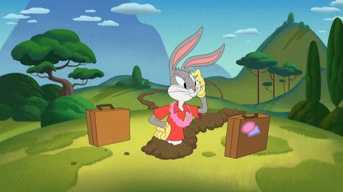 Looney Tunes Cartoons Season 1 Episode 45 - Lepre-Conned
