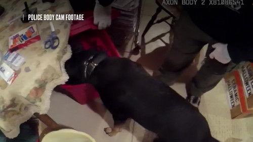 Interrogation Raw Season 2 Episode 3 - Until Murder Do Us Part