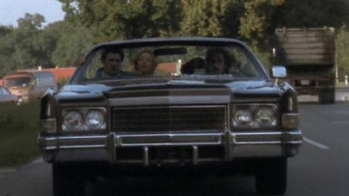 Der ganz normale Wahnsinn Season 1 Episode 10 - Episode 10