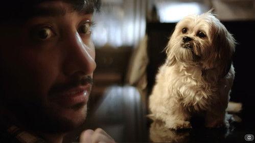 Doggy Bank Season 1 Episode 2 - There Is No Death