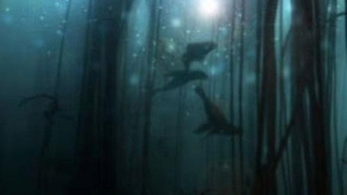 Nature Season 19 Episode 15 - Golden Seals of the Skeleton Coast