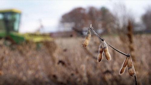 Wisconsin Foodie Season 9 Episode 11 - Simple Soyman