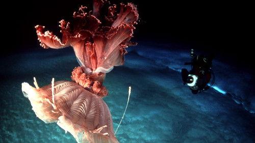 Nature Season 21 Episode 6 - Under Antarctic Ice