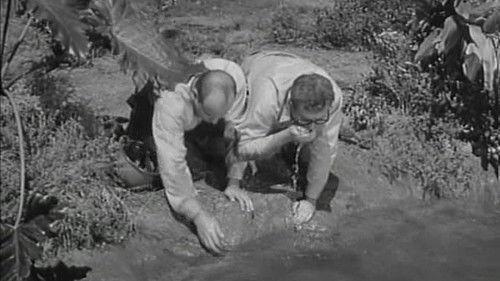 McHale's Navy Season 3 Episode 10 - Fountain of Youth