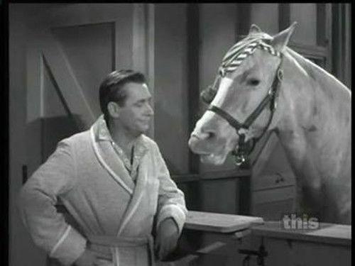 Mister Ed Season 5 Episode 7 - Animal Jury