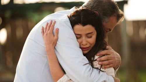 Street Birds Season 1 Episode 16 - Episode 16