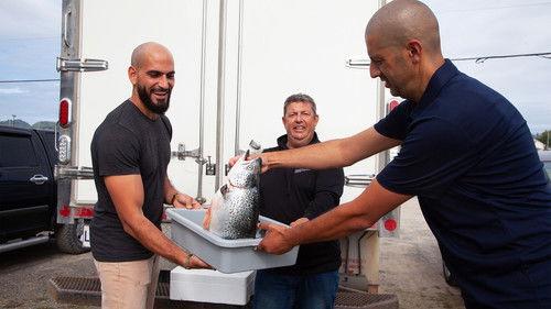 Immigrants de souche Season 1 Episode 2 - Episode 2