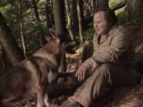 Background image for Passage