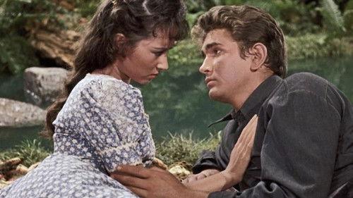 Bonanza Season 1 Episode 11 - The Truckee Strip