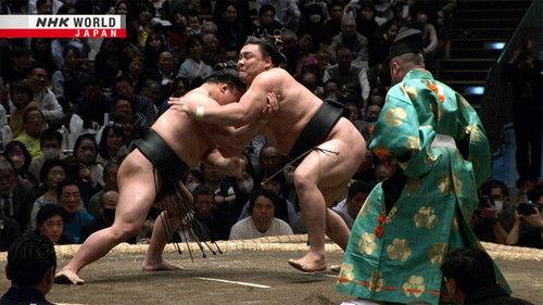 GRAND SUMO Highlights Season 21 Episode 4 - Day 4