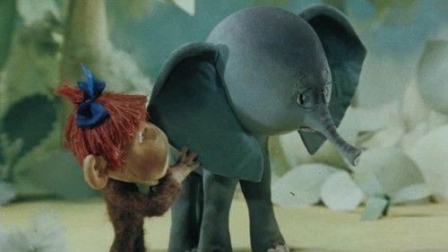 38 Parrots Season 1 Episode 4 - Where Is The Baby Elephant Headed?