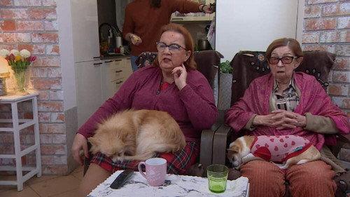 Gogglebox. Przed telewizorem. Season 19 Episode 13 - Episode 13