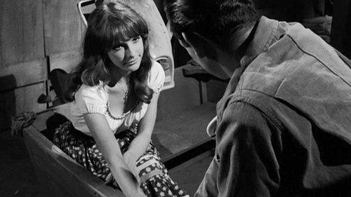 The Fugitive Season 2 Episode 10 - The Cage