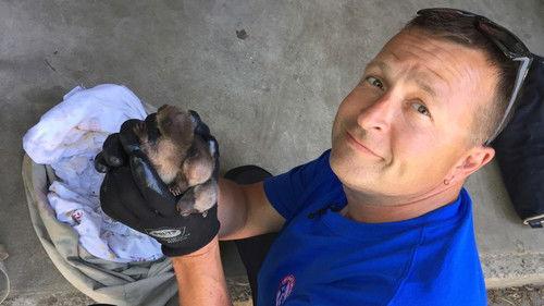 Louis and the Urban Jungle Season 1 Episode 1 - Episode 1