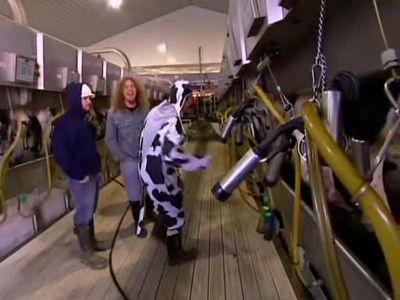 Viva La Bam Season 4 Episode 3 - Working Class Bam