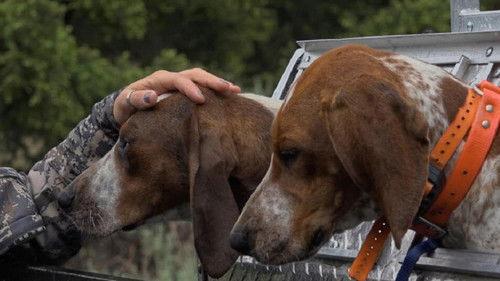 Mountain Men Season 9 Episode 15 - Meltdown: Trial by Fire