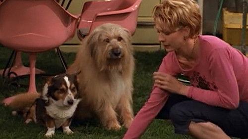 Dharma & Greg Season 1 Episode 21 - Spring Forward, Fall Down