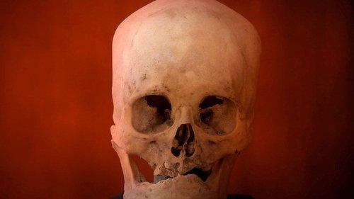 Ancient Aliens Season 3 Episode 16 - Aliens and the Creation of Man