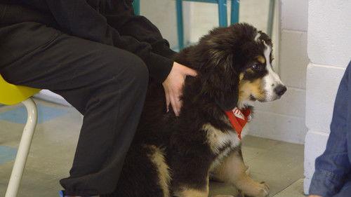 180 jours Season 1 Episode 9 - Episode 9