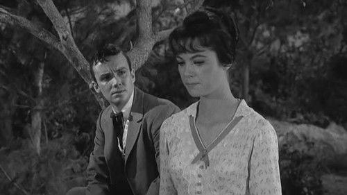 undefined Season 3 Episode 21 - The Tom Tuckett Story