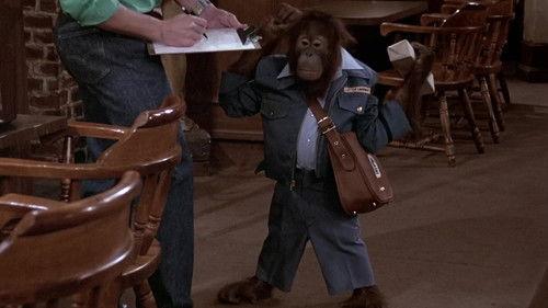 Cheers Season 6 Episode 13 - Woody for Hire meets Norman of the Apes