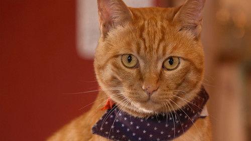 Background image for Karuizawa: A Cool Breeze on a Plateau