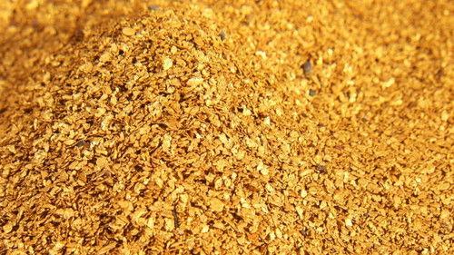 Yukon Gold Season 1 Episode 4 - Gold Fever!