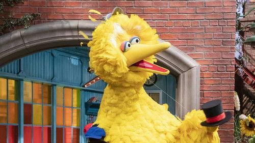 Sesame Street Season 51 Episode 3 - Measuring Big Bird