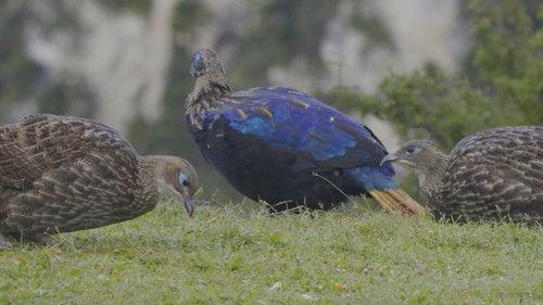 Unexplored Land Season 1 Episode 6 - Episode 6