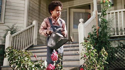 undefined Season 5 Episode 18 - The Sound of Children
