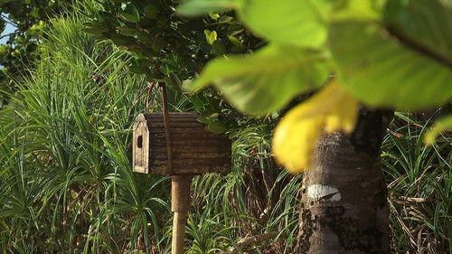 Robinson Season 27 Episode 23 - Episode 23