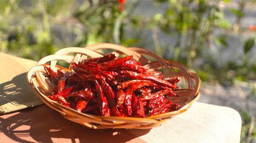 Trails to Oishii Tokyo Season 2 Episode 18 - TOGARASHI PEPPER